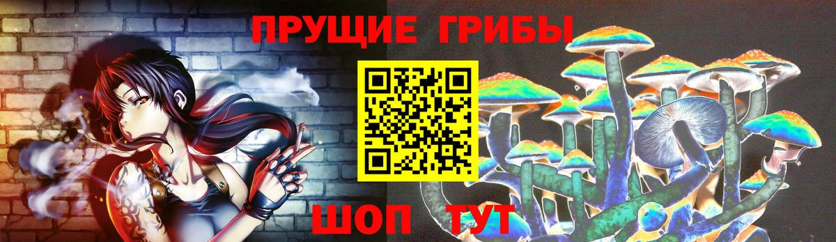 Ивантеевка  Галлюциногенные грибы ЛСД  Вход с VPN 