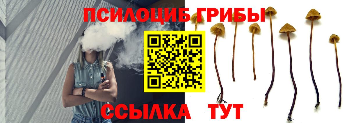Галлюциногенные грибы ЛСД Ивантеевка