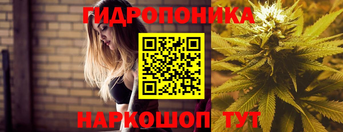 Бошки марихуана гибрид Ивантеевка